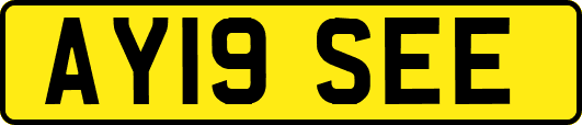 AY19SEE
