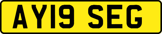 AY19SEG