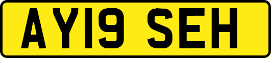 AY19SEH