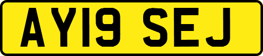 AY19SEJ