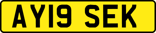 AY19SEK