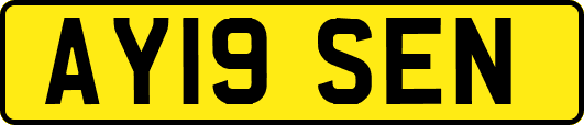 AY19SEN