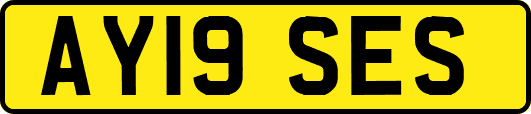 AY19SES