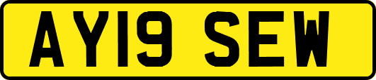 AY19SEW