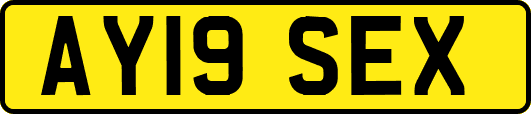AY19SEX