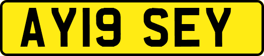 AY19SEY