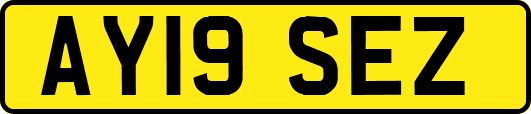 AY19SEZ