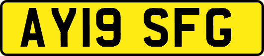 AY19SFG