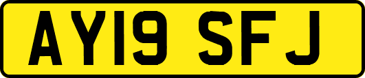 AY19SFJ
