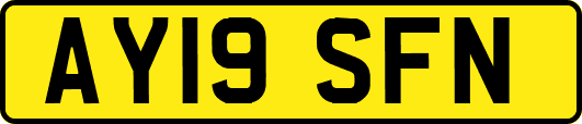 AY19SFN