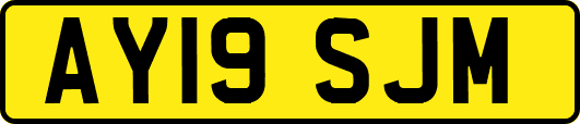 AY19SJM