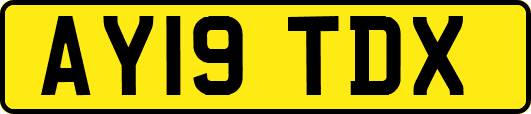 AY19TDX