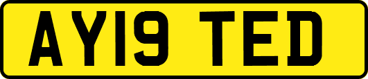 AY19TED