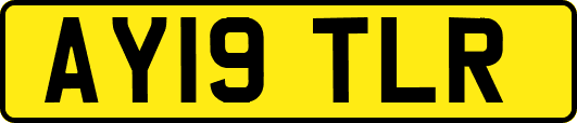 AY19TLR