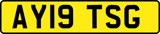 AY19TSG