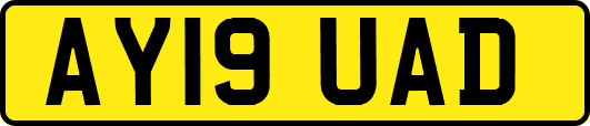 AY19UAD