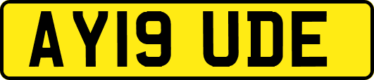 AY19UDE