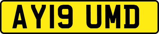 AY19UMD