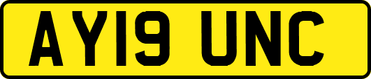 AY19UNC