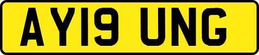 AY19UNG