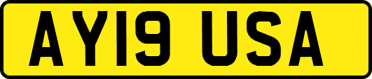 AY19USA