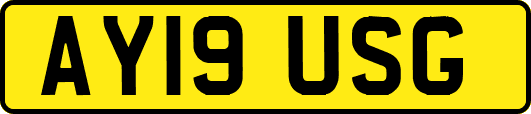 AY19USG