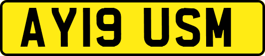 AY19USM