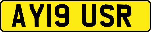 AY19USR