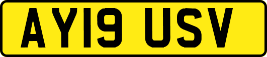 AY19USV