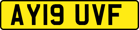 AY19UVF