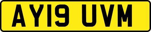 AY19UVM