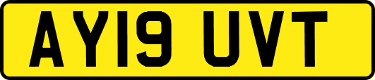 AY19UVT