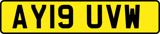 AY19UVW