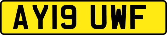 AY19UWF