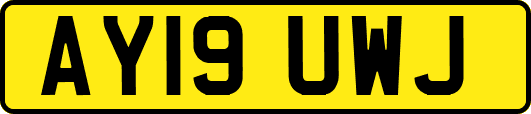 AY19UWJ