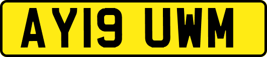 AY19UWM