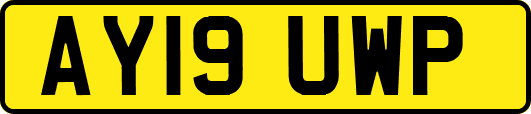 AY19UWP