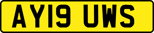 AY19UWS