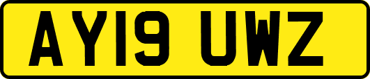 AY19UWZ