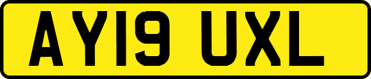 AY19UXL