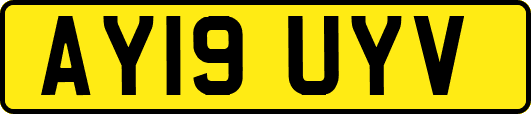 AY19UYV