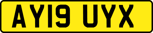 AY19UYX