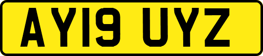 AY19UYZ