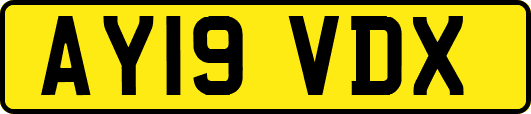 AY19VDX