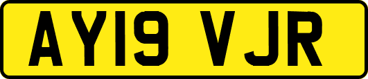 AY19VJR