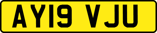 AY19VJU