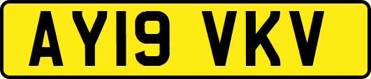 AY19VKV