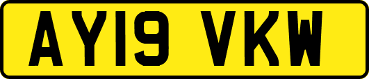 AY19VKW