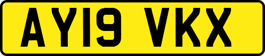 AY19VKX