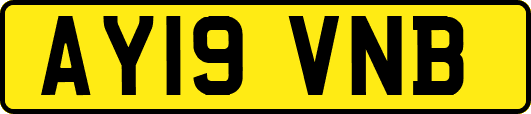 AY19VNB